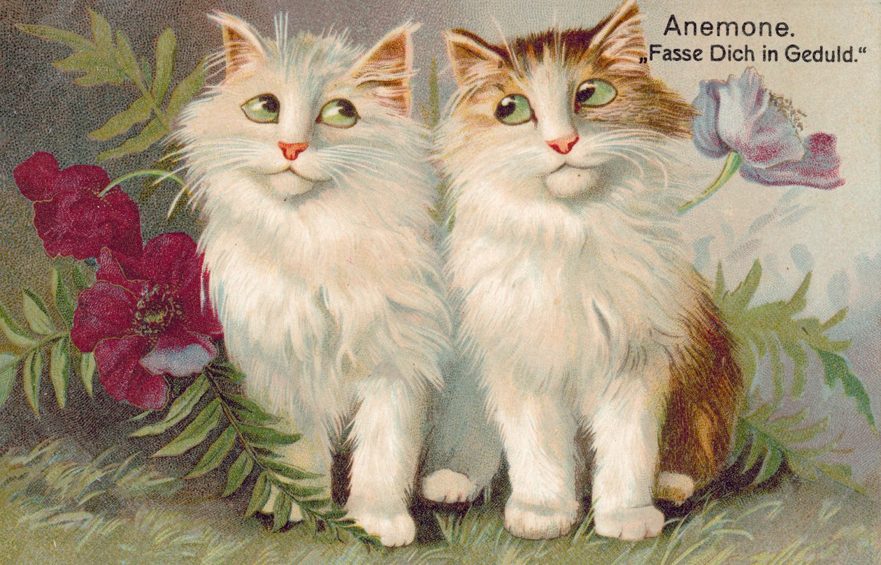 Postal de gato (litografia a cores) de European School