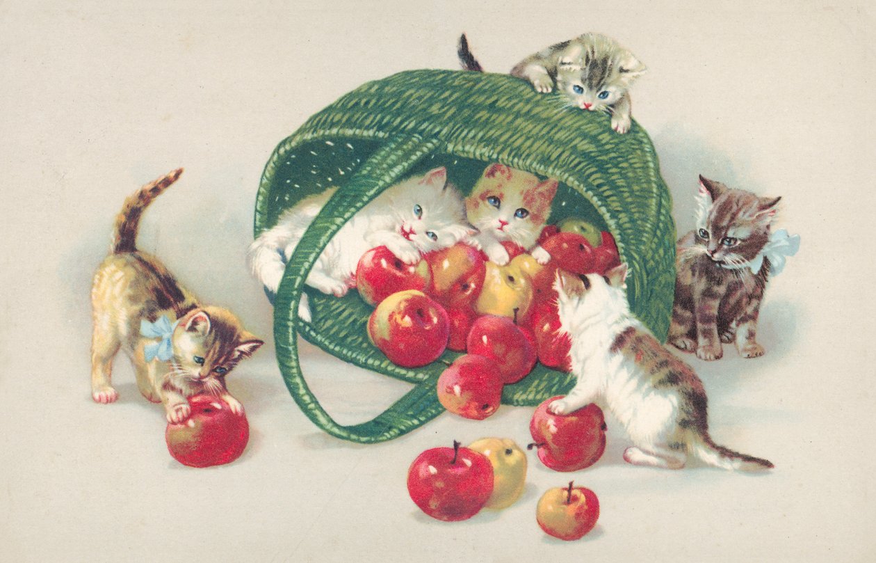 Postal de gato (litografia a cores) de European School