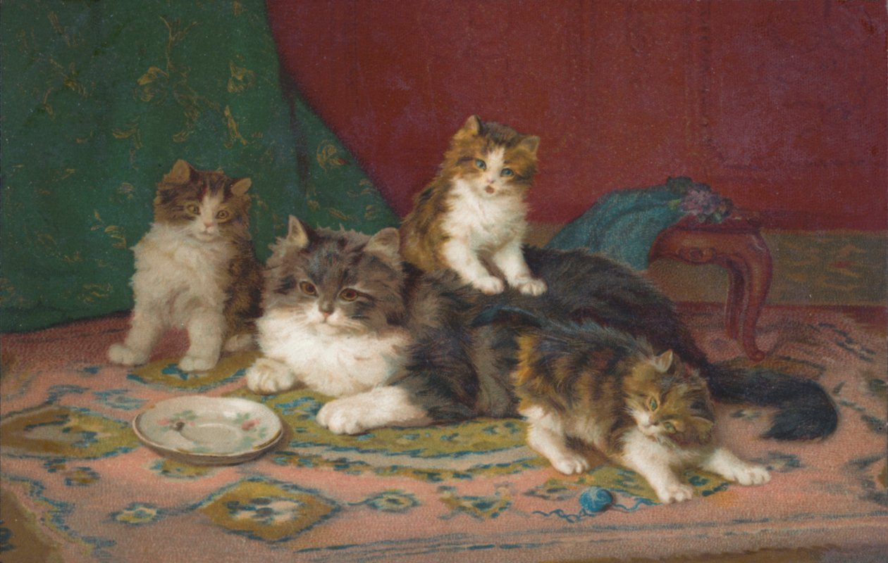 Postal de gato (litografia a cores) de European School