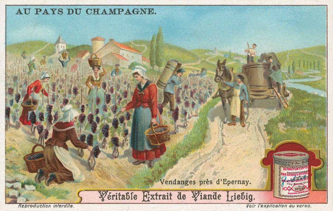 Champagne, cartão Liebig, início do século XX (cromo) de European School