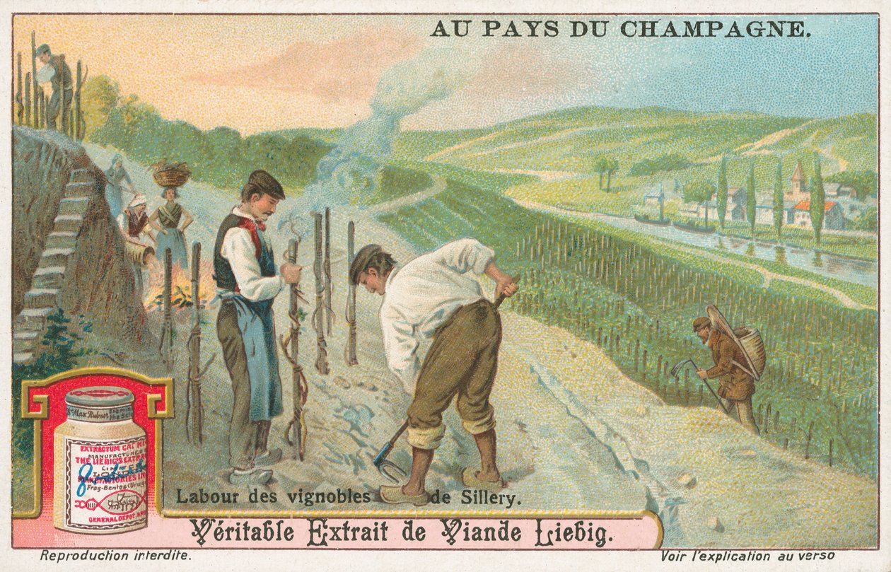 Champagne, cartão Liebig, início do século XX (cromo) de European School