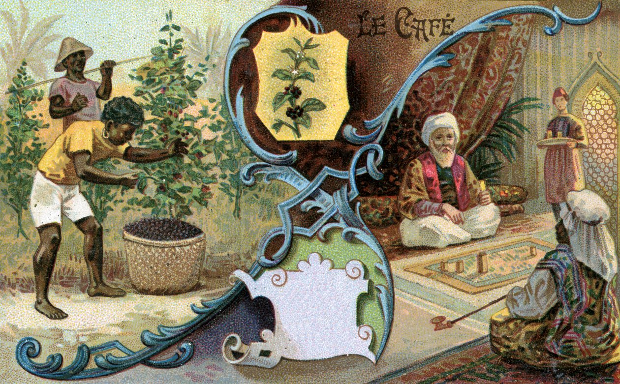 Café, 1899 de European School