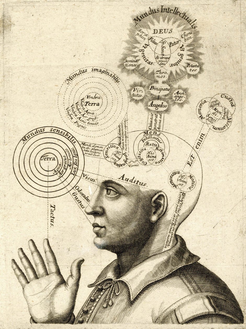 Diagrama do pensamento humano e dos quatro sentidos, c.1650 (gravura) de European School