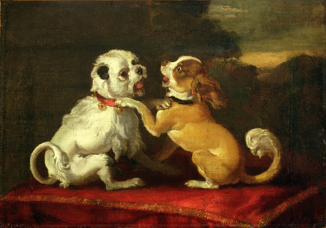 Cães em Brincar (ver 204490) de European School