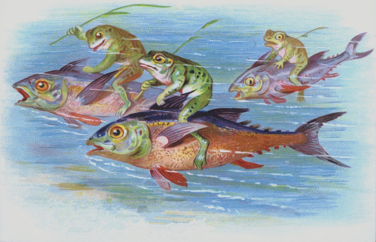 Rãs que montam peixes (cromolito) de European School