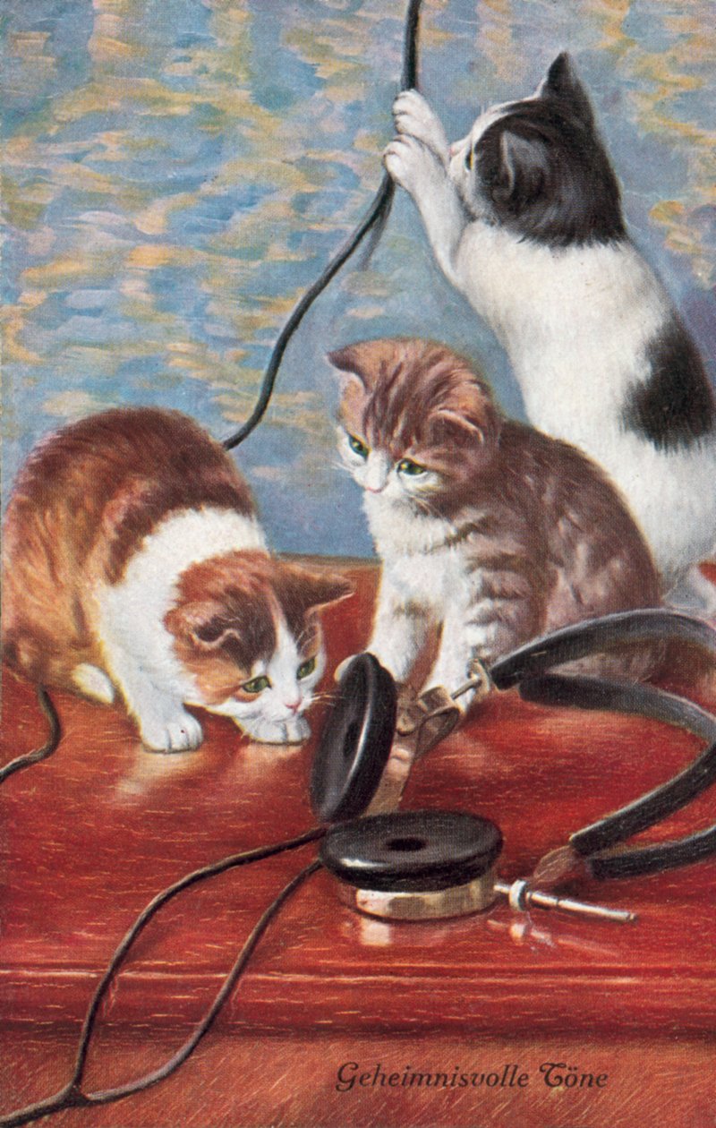 Postal humorístico de um gato (litografia a cores) de European School