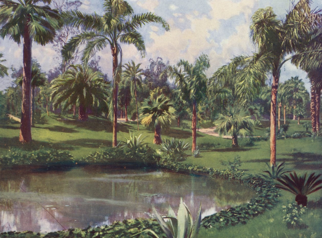 Monte-Carlo, Le Jardin du Casino (litografia a cores) de European School