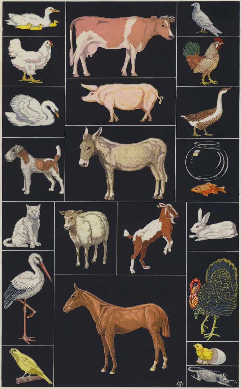 Página do livro ilustrado para crianças, Animais (litografia a cores) de European School