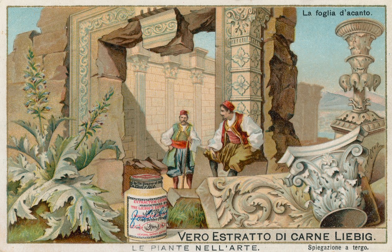As plantas na arte, cartão Liebig, início do século XX (cromo) de European School