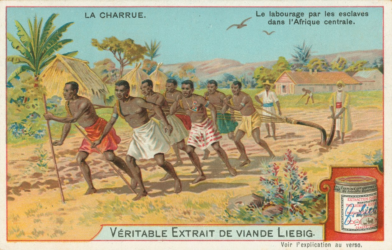Arado, cartão Liebig, início do século XX (cromo) de European School
