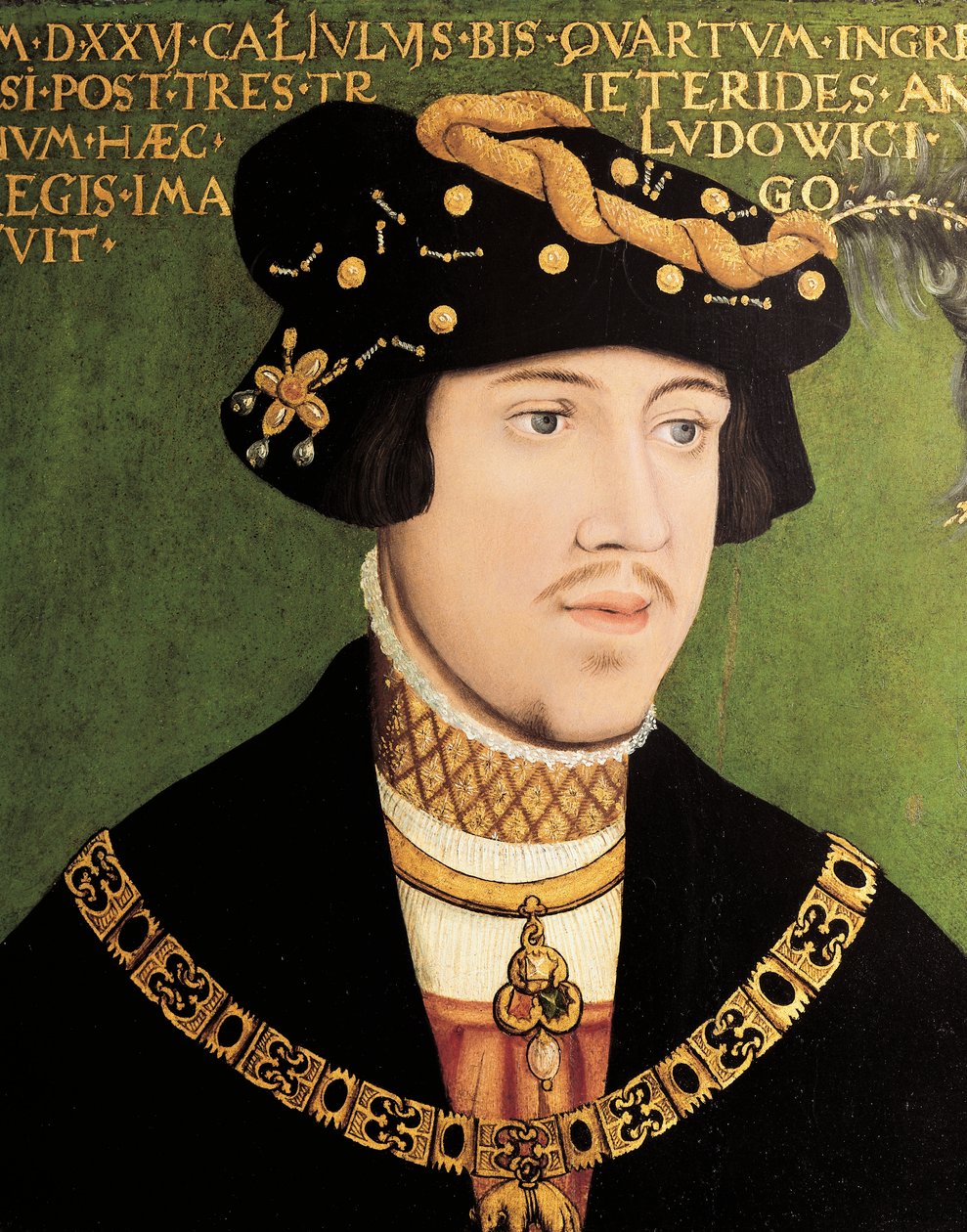 Retrato de Luís II da Hungria, Rei da Hungria, Boémia e Croácia (óleo sobre painel) de European School