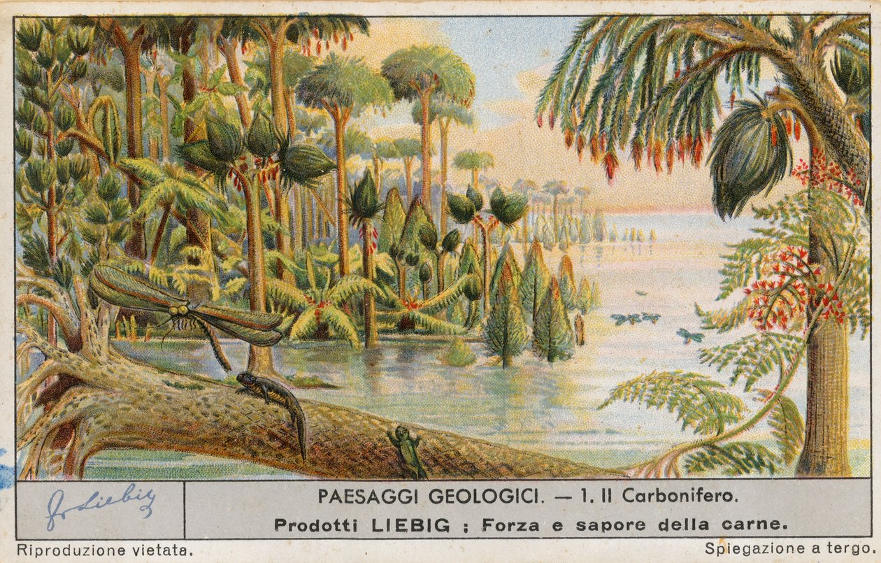 Mundo pré-histórico, cartão Liebig, início do século XX (cromo) de European School