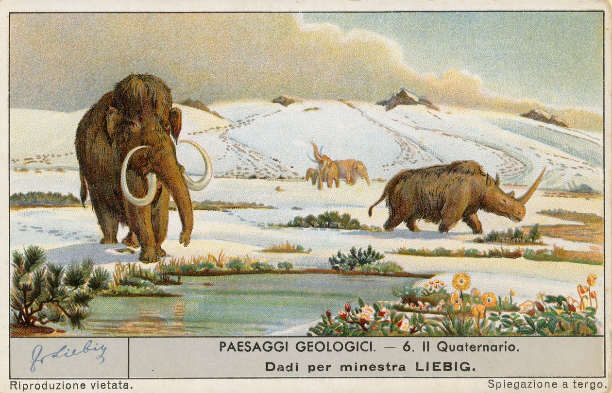 Mundo pré-histórico, cartão Liebig, início do século XX (cromo) de European School