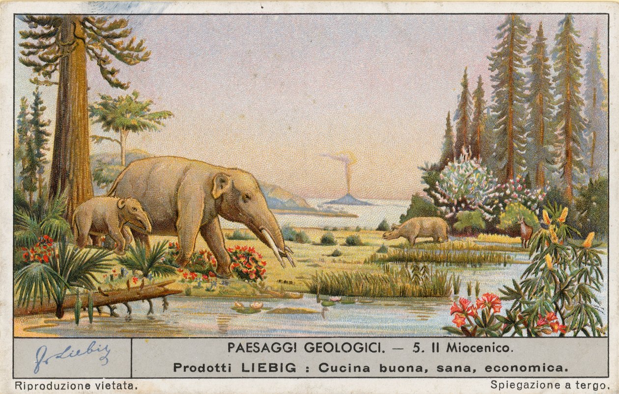 Mundo pré-histórico, cartão Liebig, início do século XX (cromo) de European School