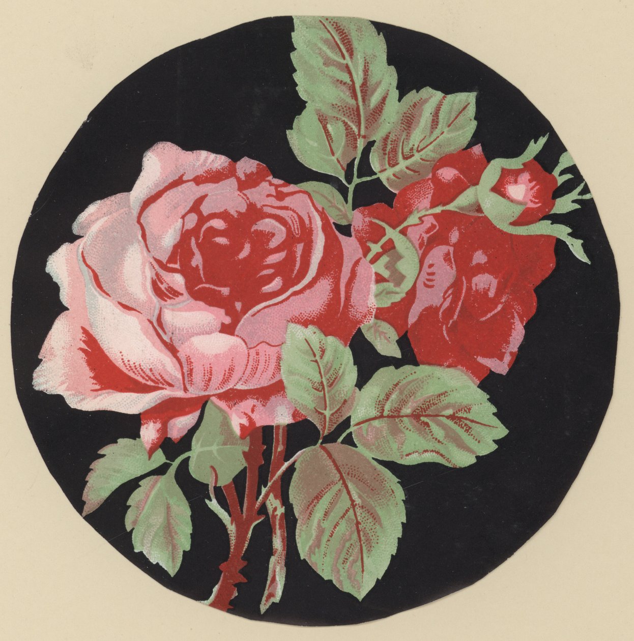 Cor-de-rosa (litografia a cores) de European School