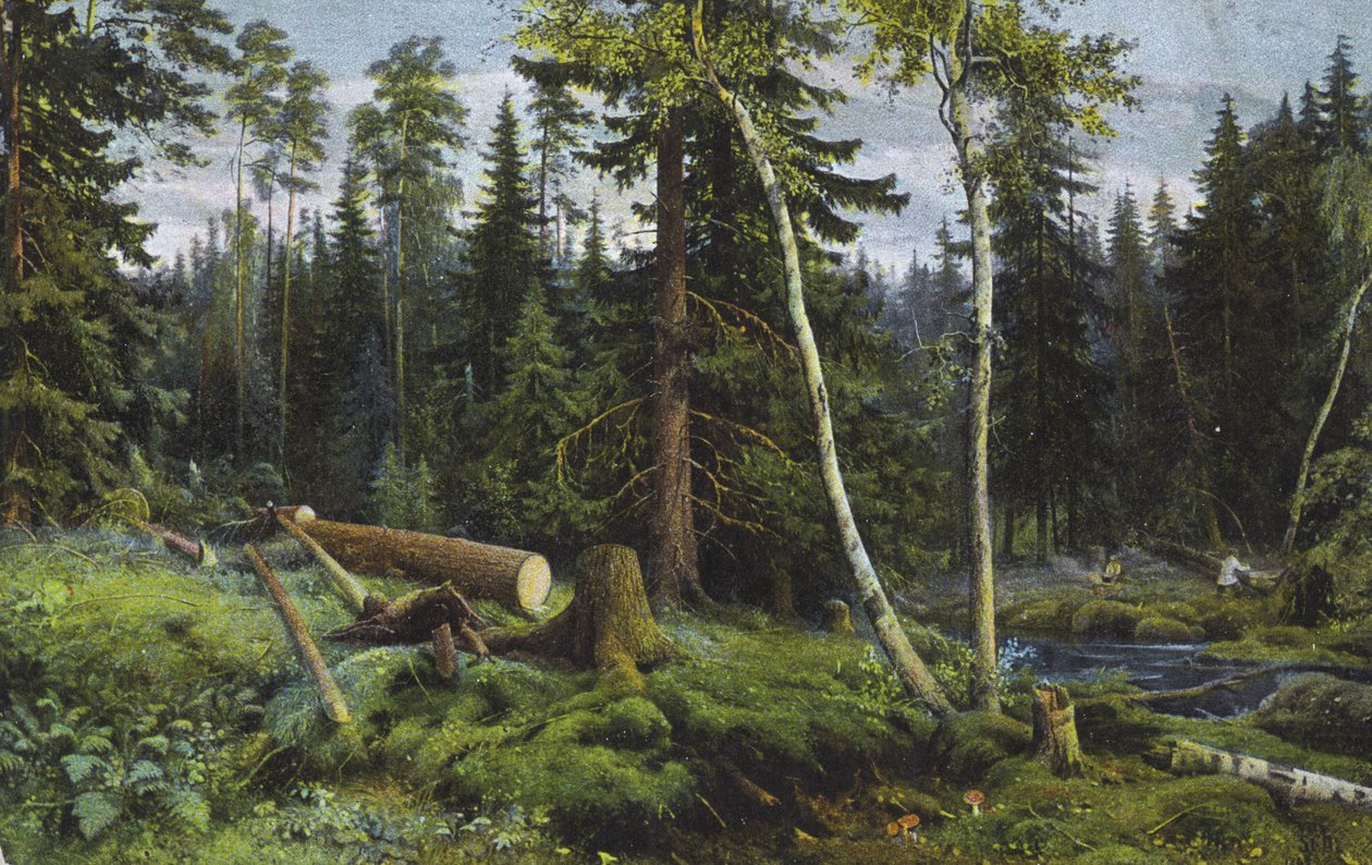 Cena numa floresta com árvores abatidas (litografia a cores) de European School