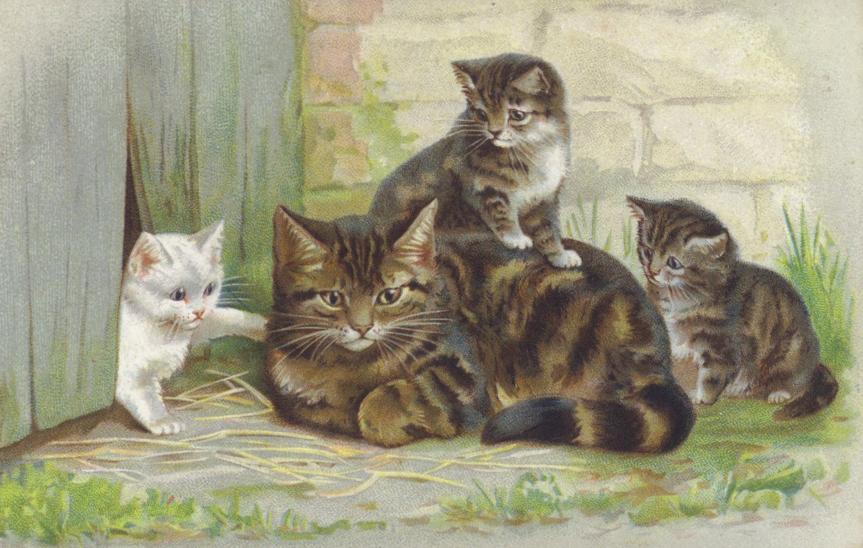 Gato malhado com três gatinhos (cromolitho) de European School