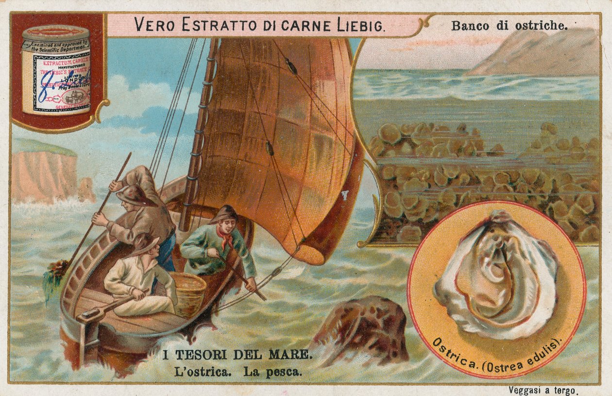 Tesouros do mar, cartão Liebig, início do século XX (cromo) de European School