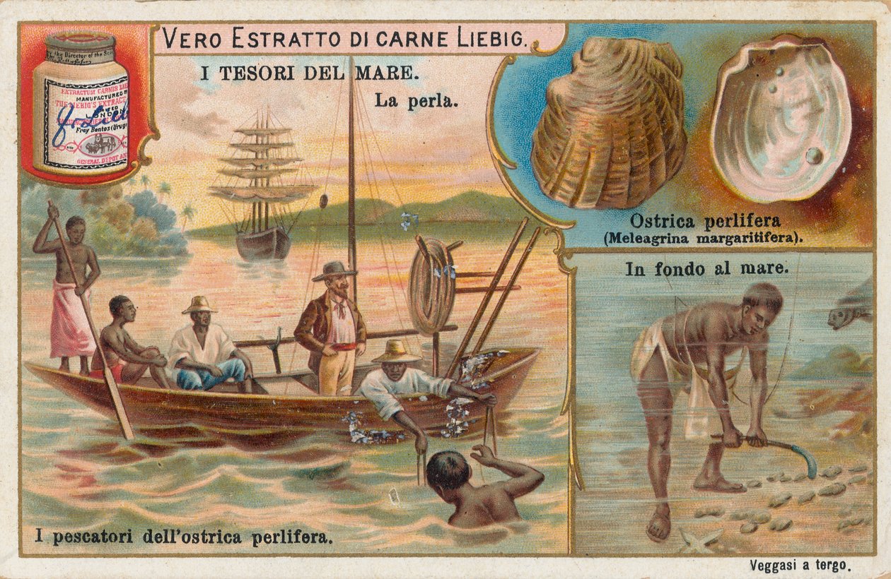Tesouros do mar, cartão Liebig, início do século XX (cromo) de European School