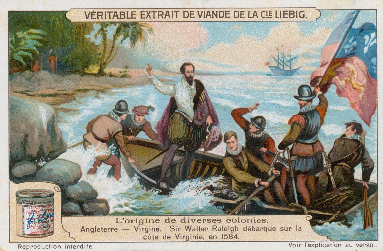 Virgínia de European School