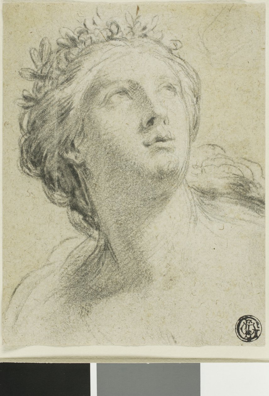 Cabeça de uma mulher de Eustache Le Sueur