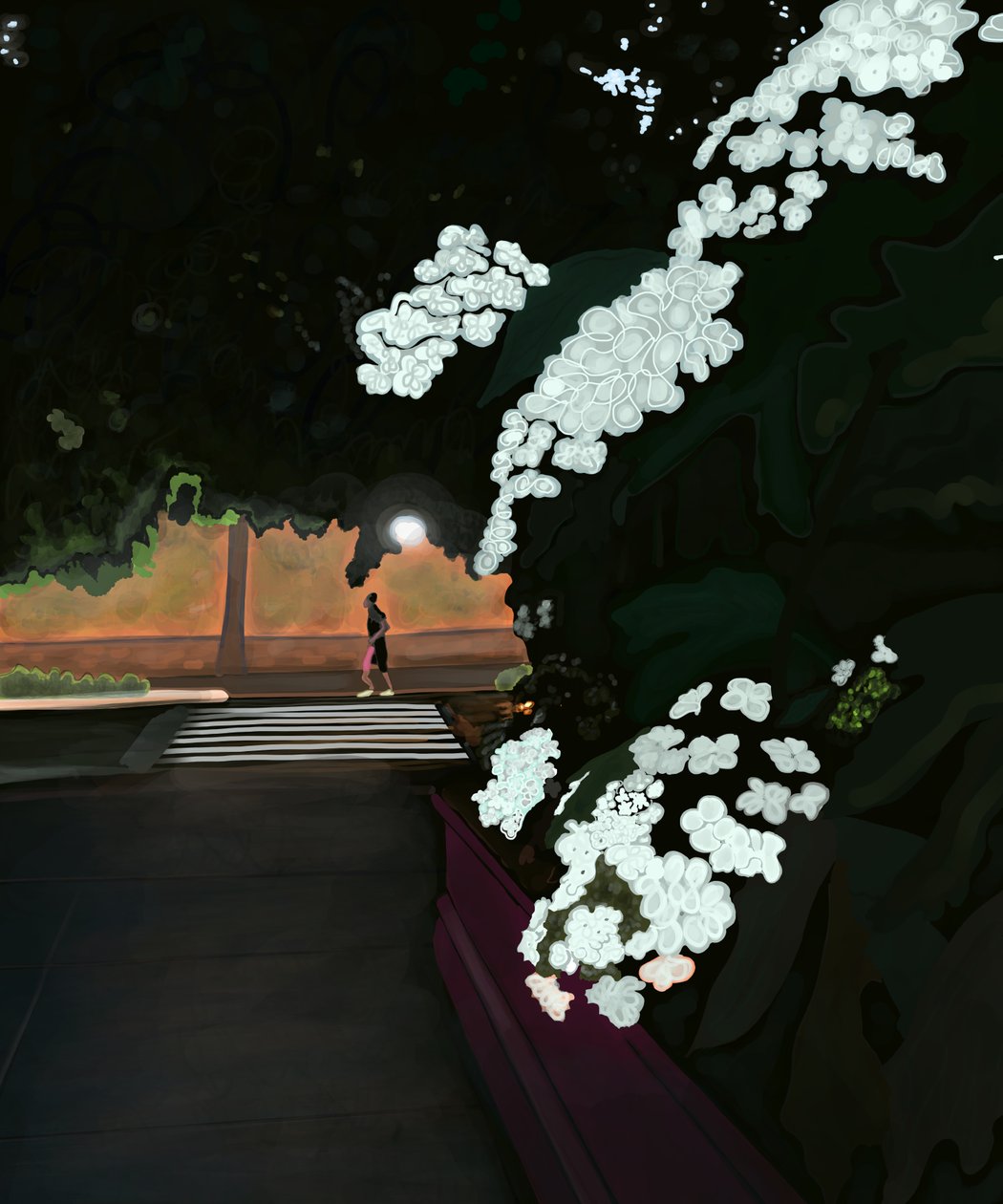 6h. Manhã chuvosa e jogger. Prospect park west (arte digital) de Evan Sklar