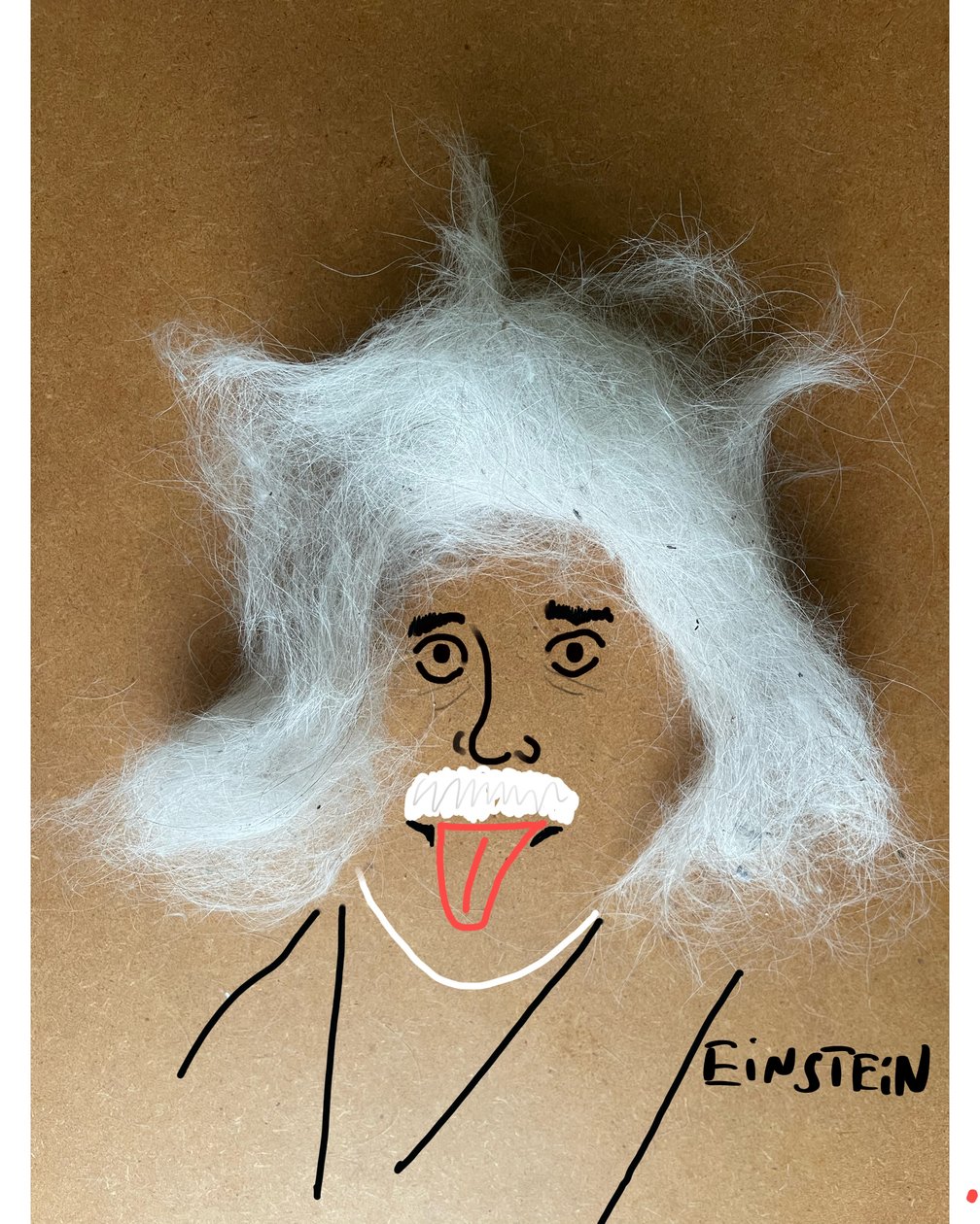 Albert Einstein (desenho de colagem) de Evan Sklar