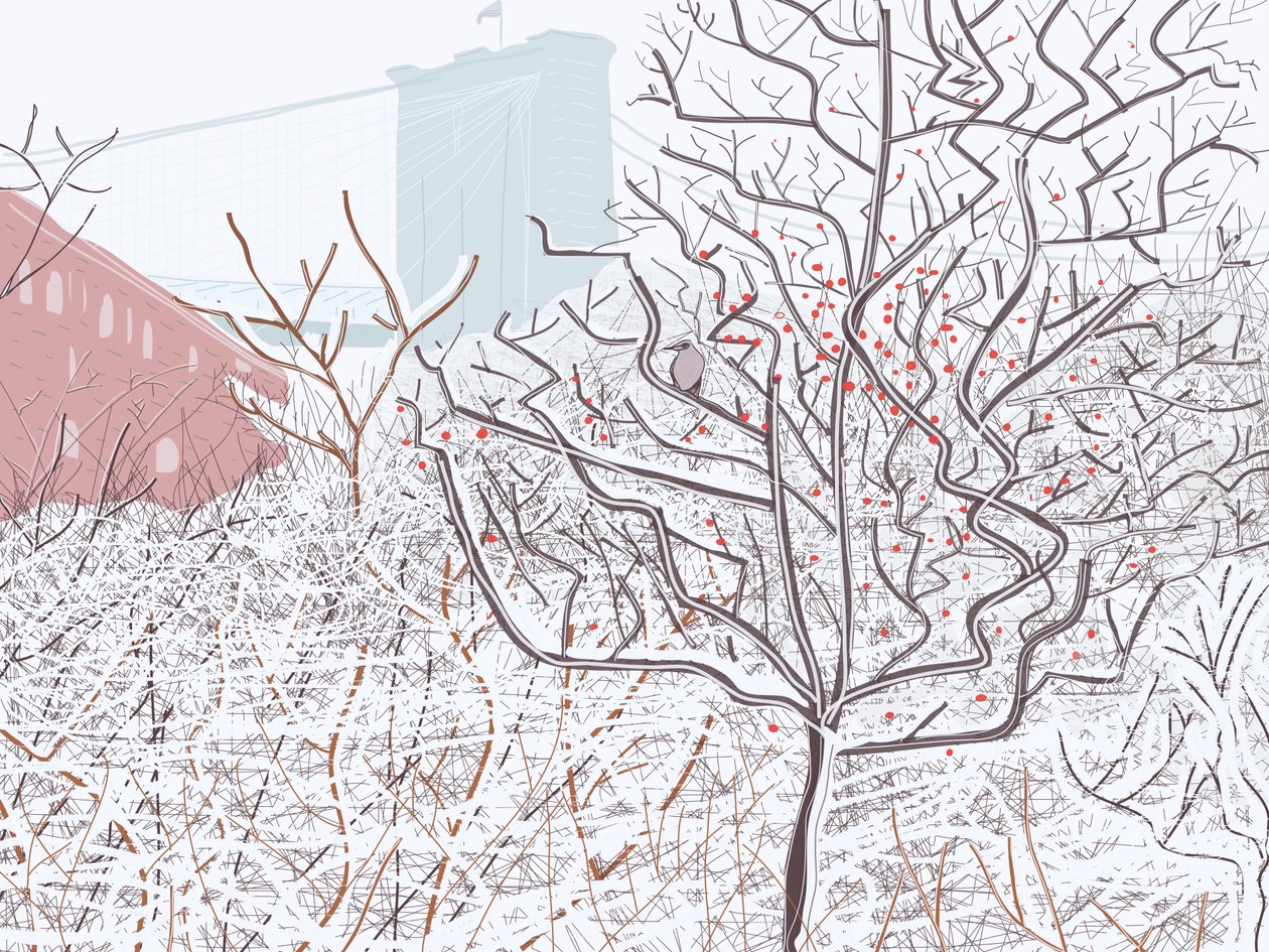 Pássaro na neve, Brooklyn Bridge Park (arte digital) de Evan Sklar