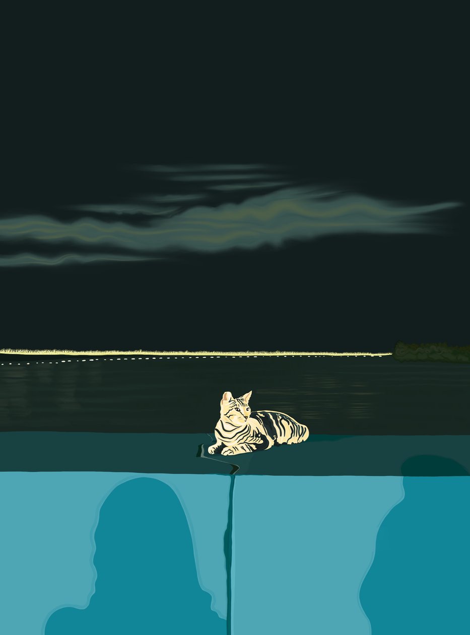 Gato na parede, Cidade do Panamá, c.2020-24 (arte digital) de Evan Sklar