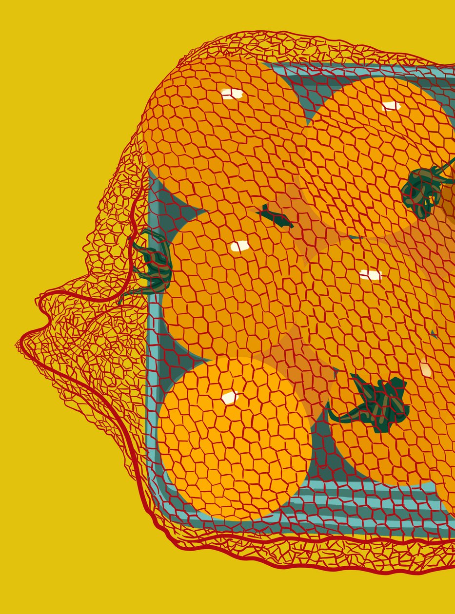 Tomates-cereja num recipiente (arte digital) de Evan Sklar