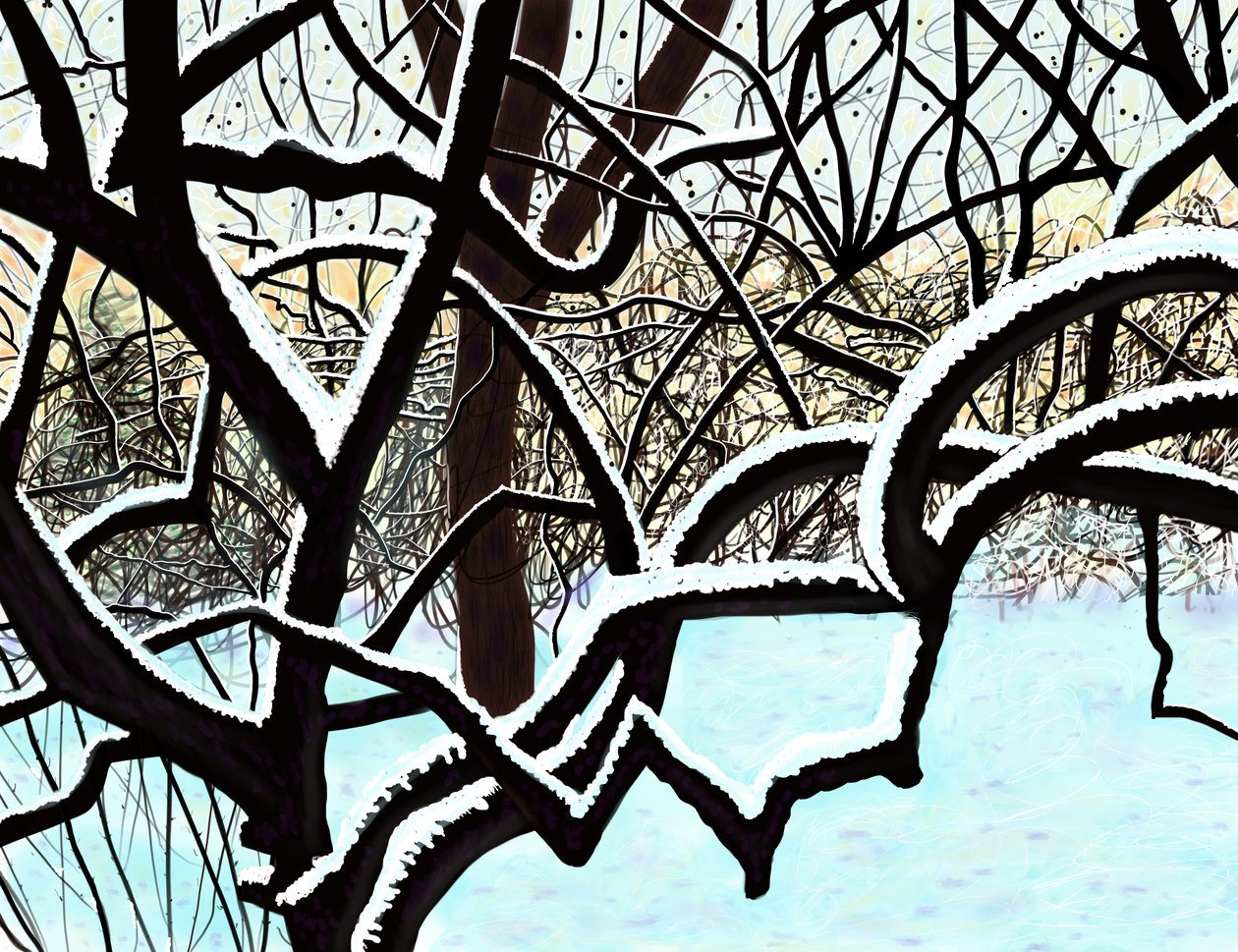 Cerejeira na neve, Brooklyn (arte digital) de Evan Sklar