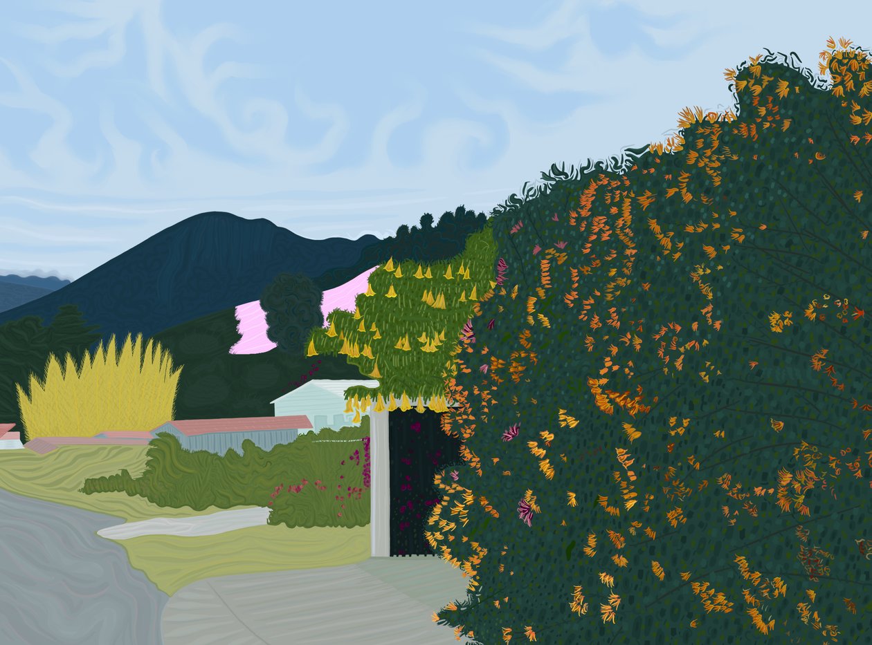 Chiriqui, Panamá, c.2020-24 (arte digital) de Evan Sklar