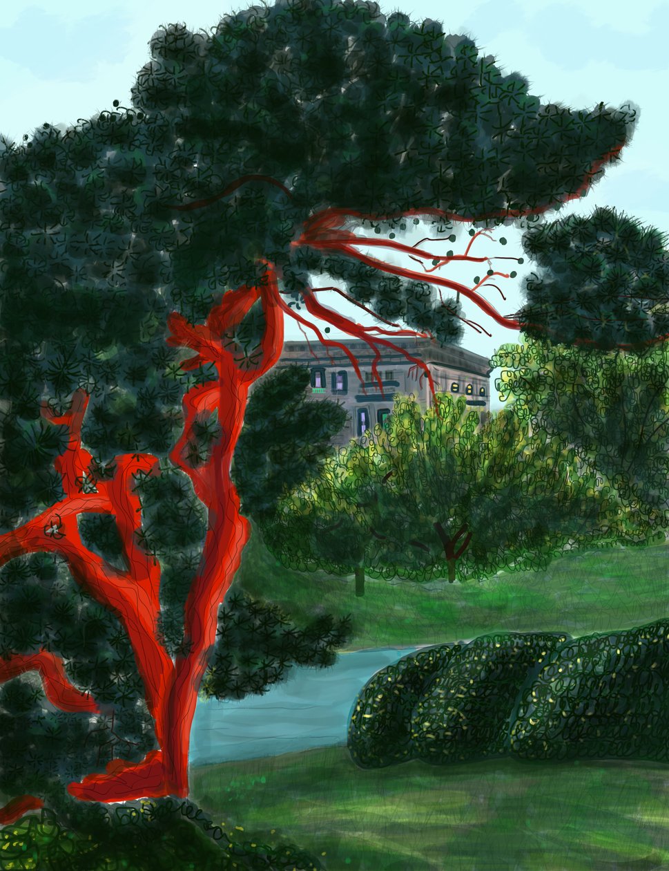 Conífera em Litchfield Villa, Prospect Park (arte digital) de Evan Sklar