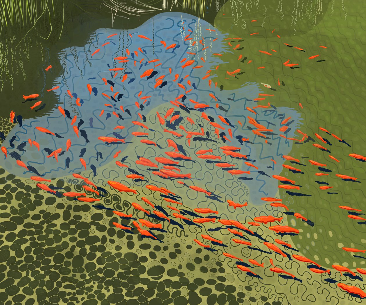 Lago de coiotes no jardim botânico (arte digital) de Evan Sklar