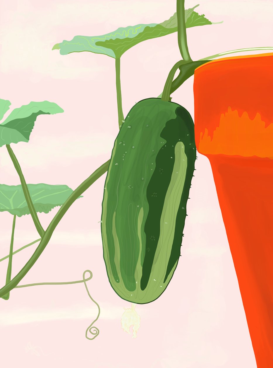 Pepino no pote, Brooklyn (arte digital) de Evan Sklar