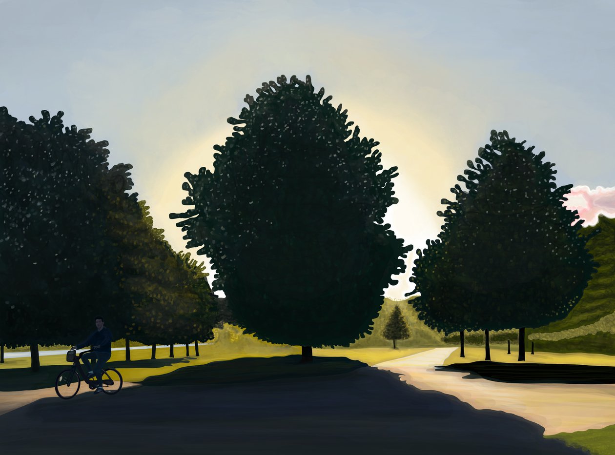 Ciclista, madrugada, Hyde Park (arte digital) de Evan Sklar