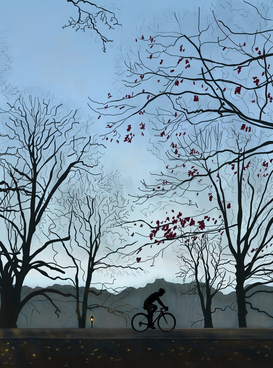 Ciclista, manhã, Prospect Park (arte digital) de Evan Sklar