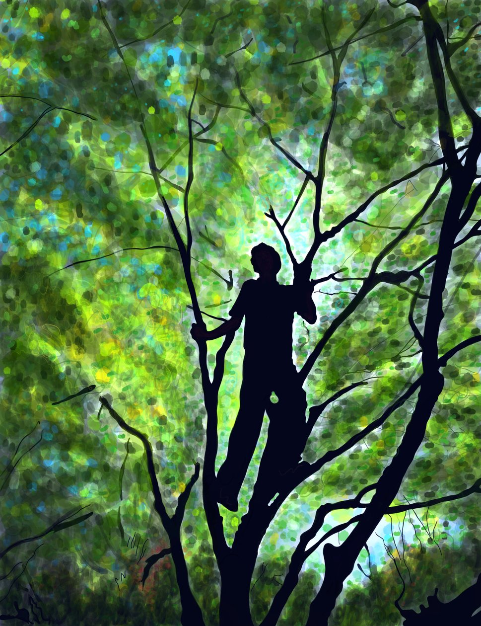 Emmitt em Treea, Brooklyn (arte digital) de Evan Sklar