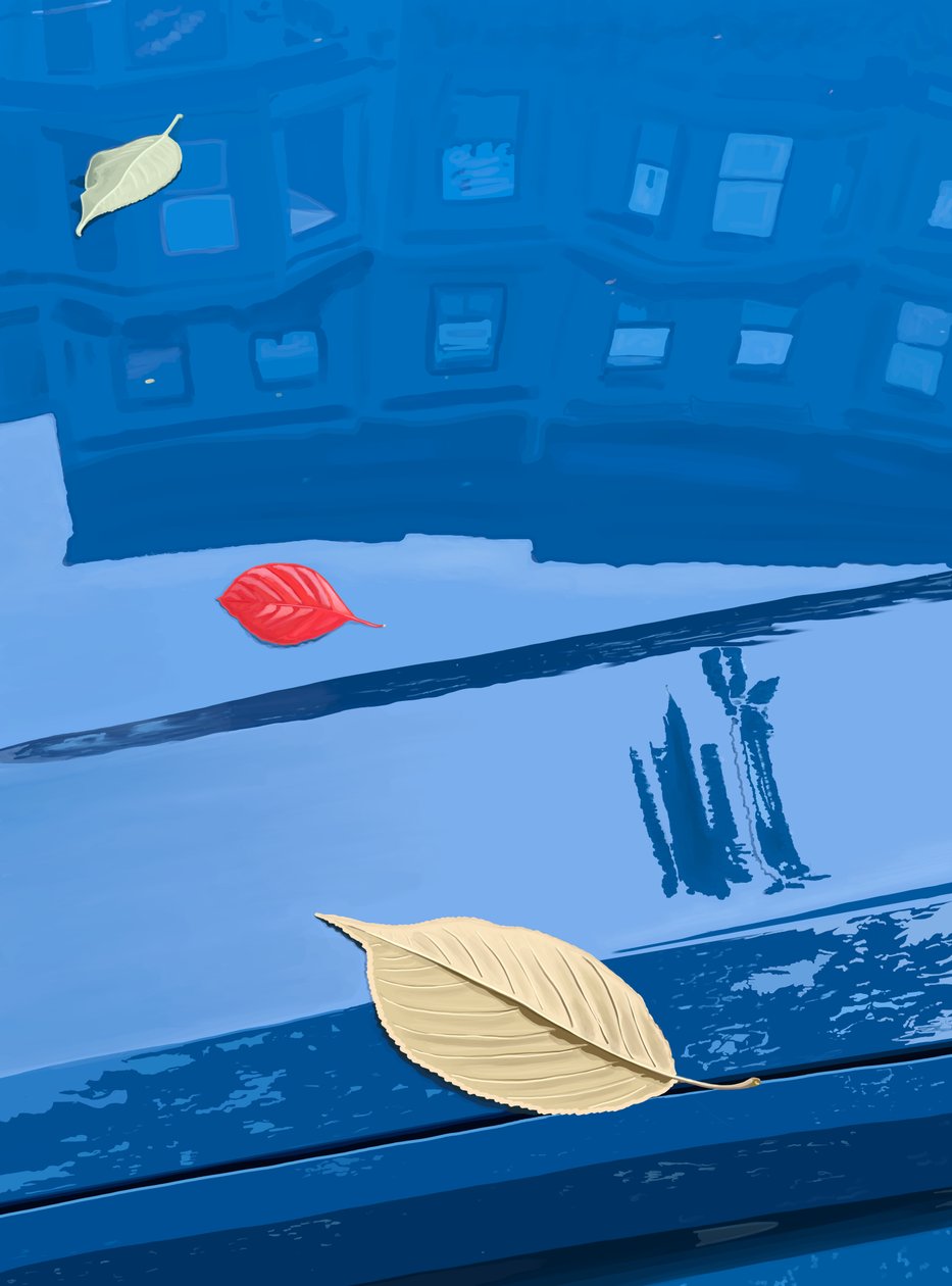 Folhas caídas num carro azul, Brooklyn (arte digital) de Evan Sklar
