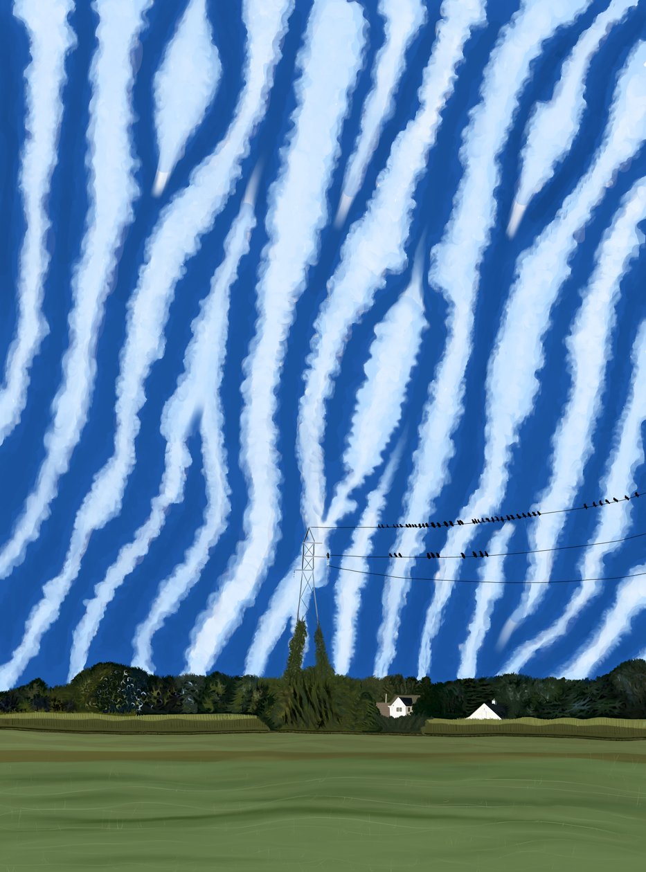 Field and Wires, North Fork, Long Island de Evan Sklar