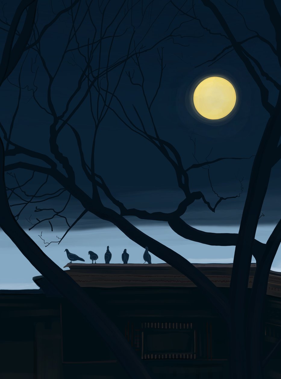 Cinco pombos no telhado (arte digital) de Evan Sklar