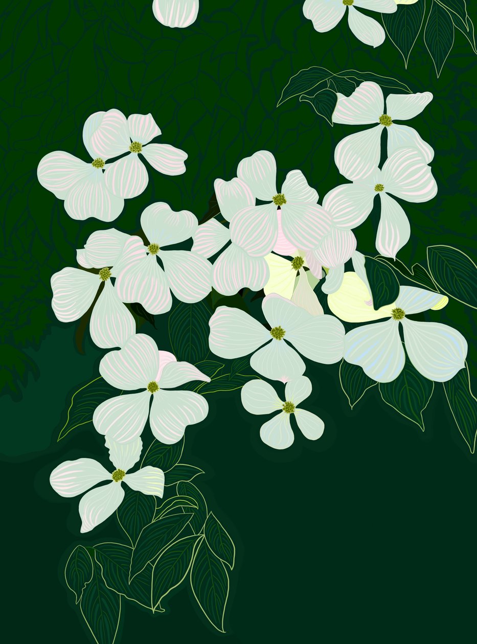 Dogwood em flor, c.2020-24 (arte digital) de Evan Sklar