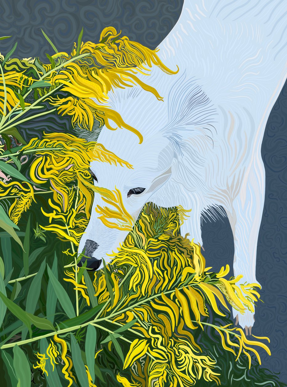 Goatdbeard White Dog e Goldenrod (arte digital) de Evan Sklar