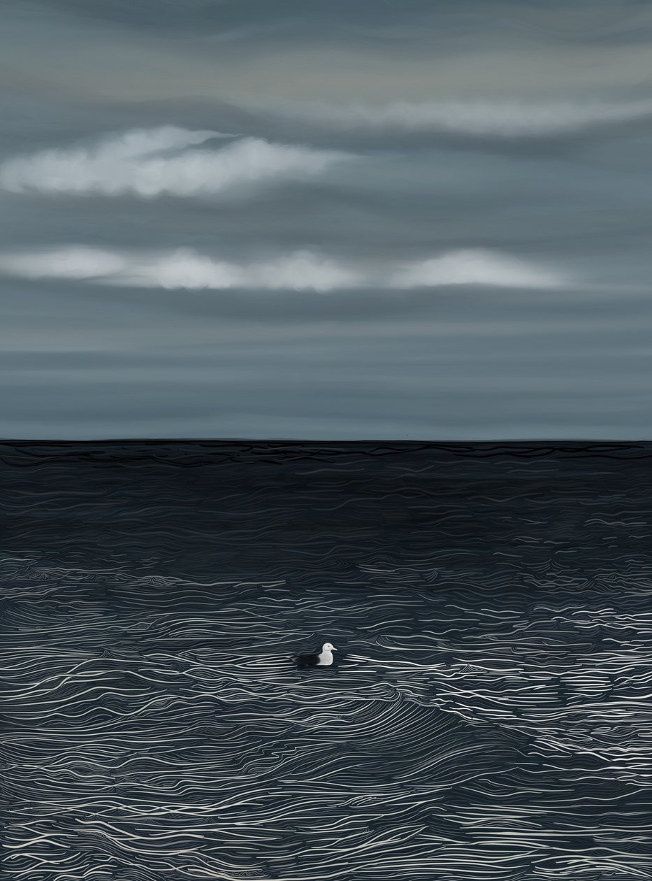 Gaivota a flutuar na água e céu tempestuoso (arte digital) de Evan Sklar