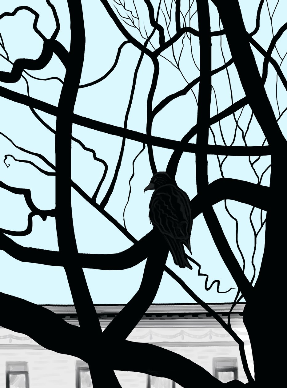 Falcão num ramo da cidade (arte digital) de Evan Sklar