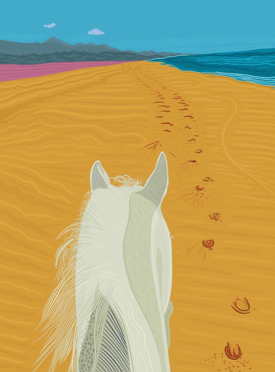 Cavalo na praia, c.2020-24 (arte digital) de Evan Sklar