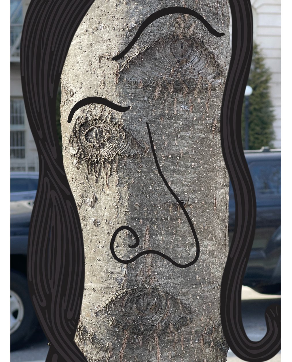 Ilustração da face de uma árvore utilizando fotografia e desenhoi Brooklyn (arte digital) de Evan Sklar