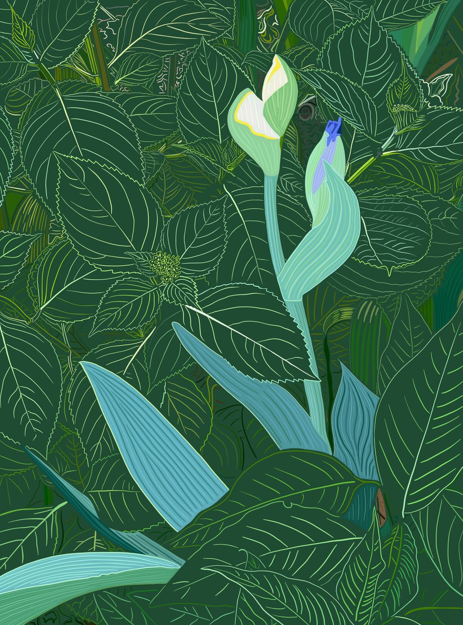 Íris e hortênsia, 2025 (arte digital) de Evan Sklar