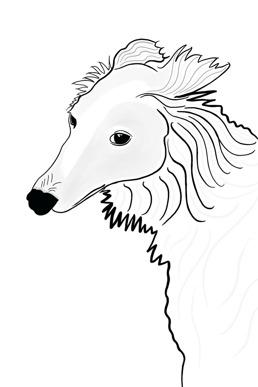Desenho de linhas de Silken Windhound (arte digital) de Evan Sklar