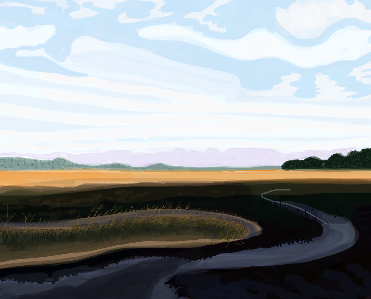 Low Country, 2016 (desenhado à mão num iPad com um lápis Apple) de Evan Sklar